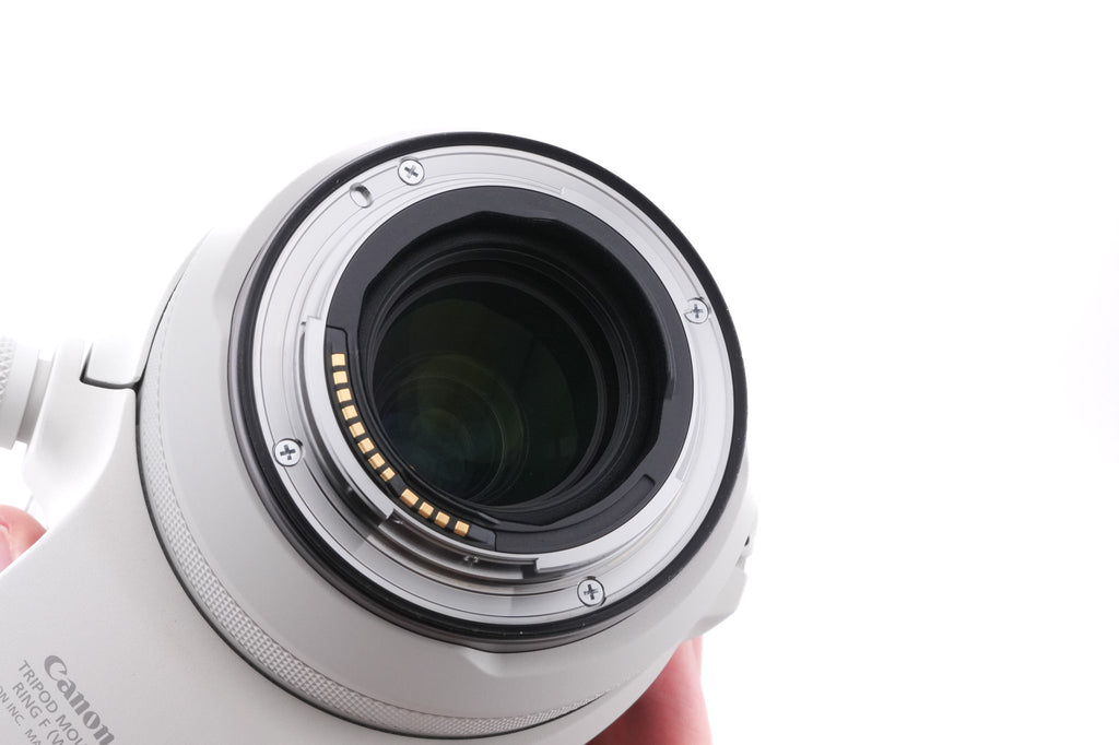 Canon 100-500mm f4.5-7.1 L IS USM