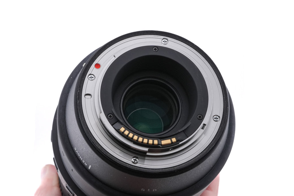 Sigma 150-600mm f5-6.3 DG OS HSM Contemporary (015)