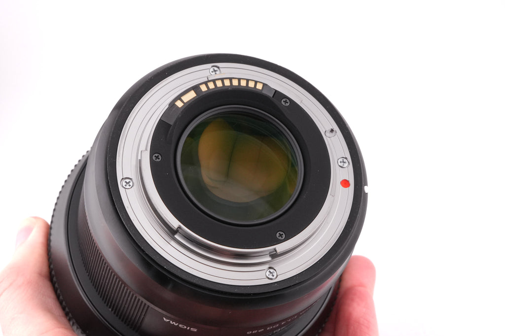 Sigma 85mm f1.4 DG HSM Art (016)