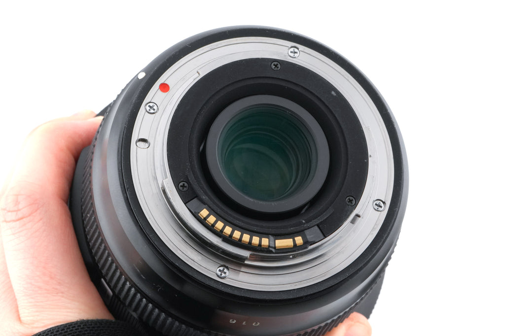 Sigma 12-24mm f4 DG HSM Art (016)