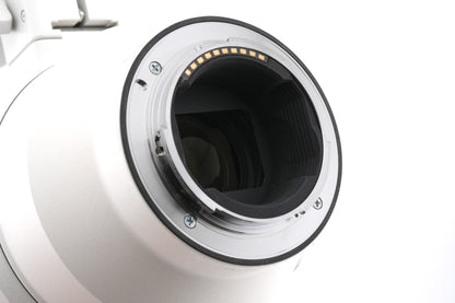 Sony 200-600mm f5.6-6.3 G OSS (SEL200600G)