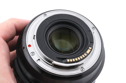 Sigma 24-105mm f4 DG OS HSM Art (013)