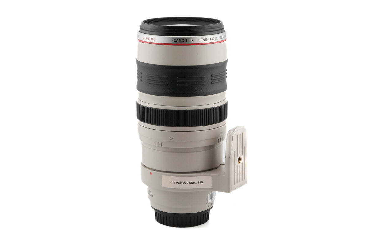 Canon 100-400mm f4.5-5.6 L IS USM