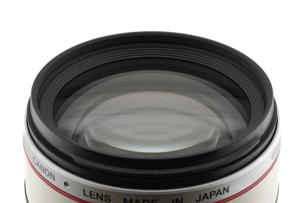 Canon 100-400mm f4.5-5.6 L IS USM