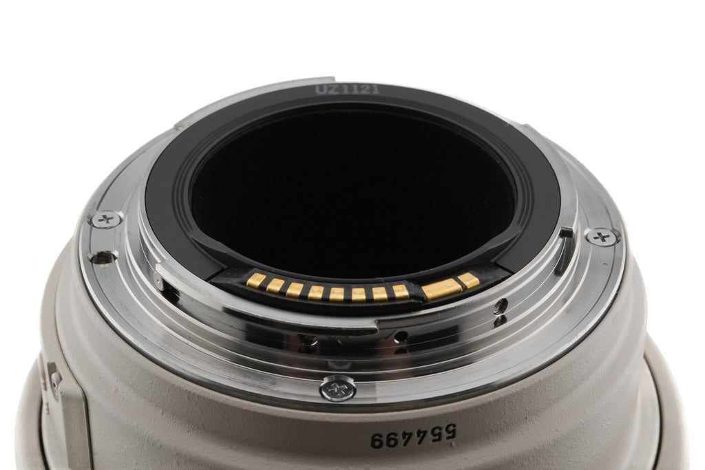 Canon 100-400mm f4.5-5.6 L IS USM