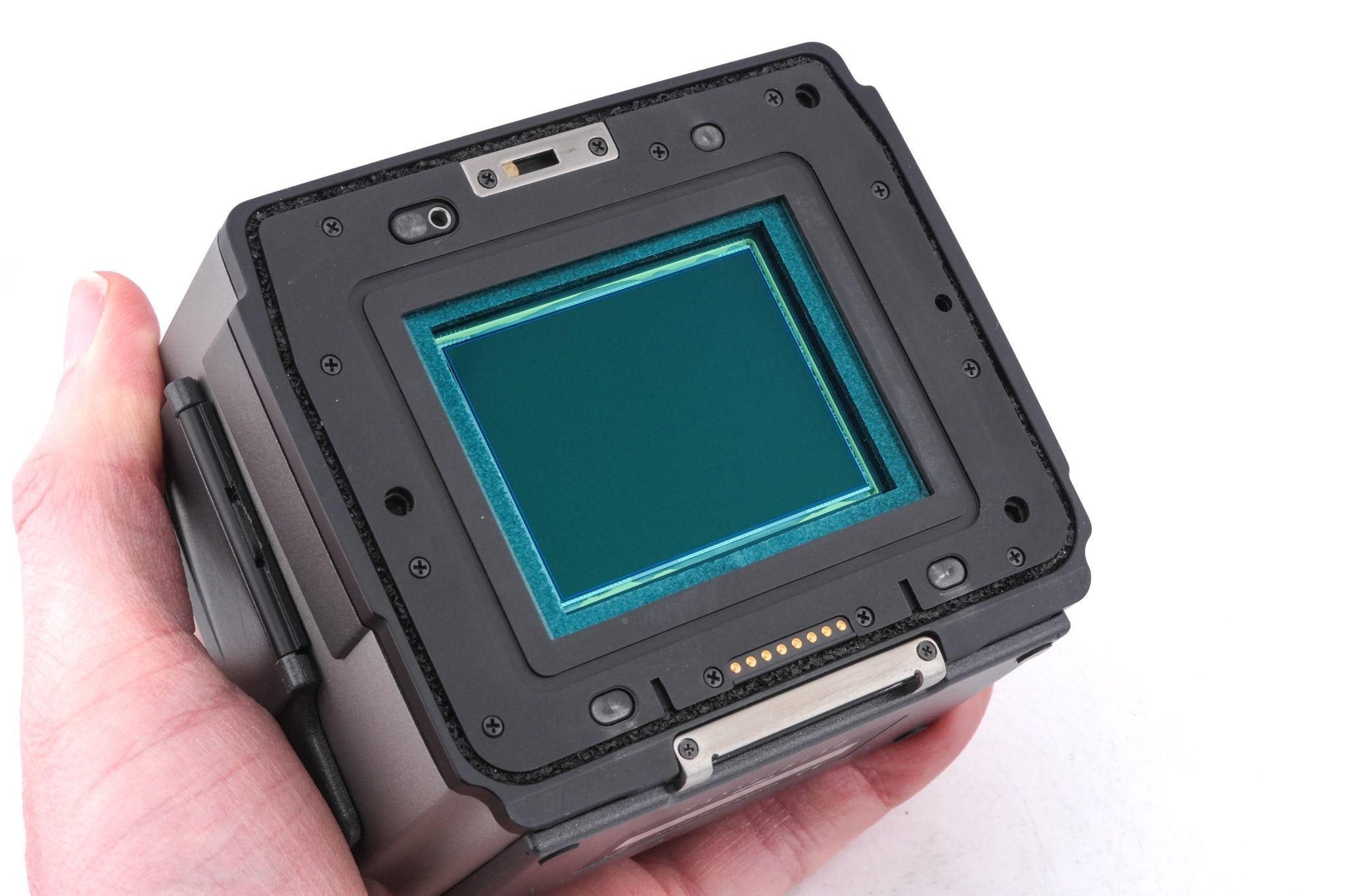 Hasselblad H4D-31