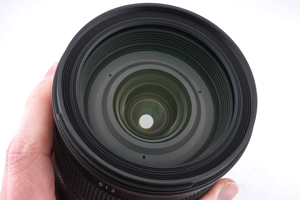 Sigma 24-105mm f4 DG OS HSM Art (013)