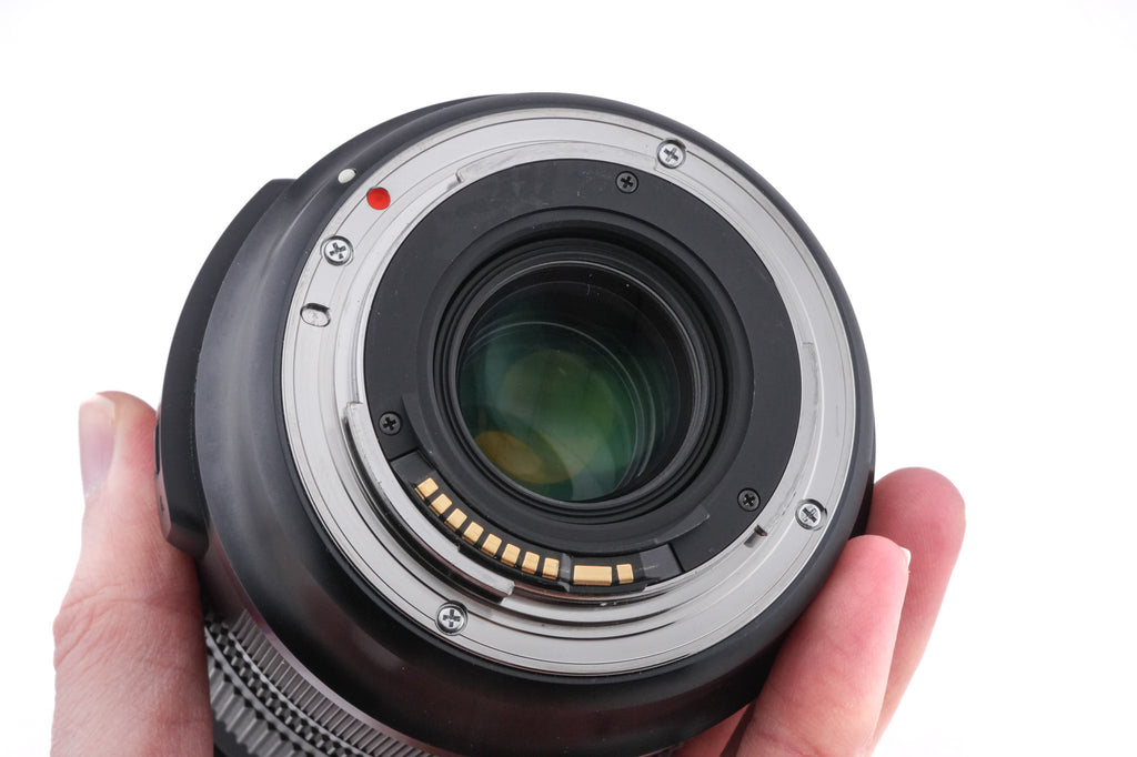 Sigma 24-105mm f4 DG OS HSM Art (013)