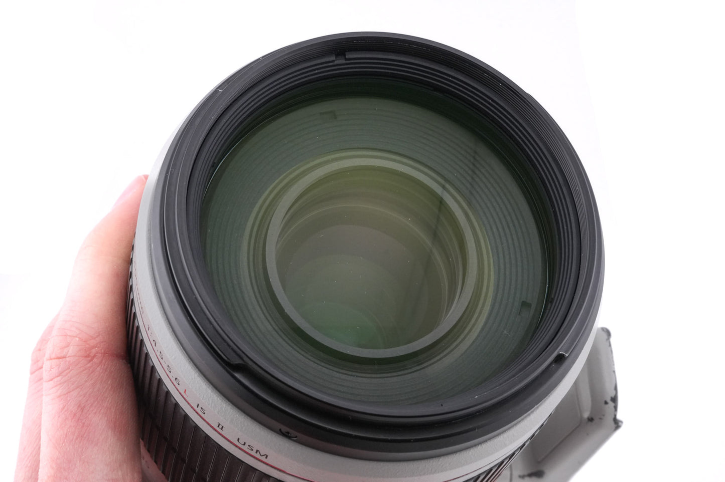 Canon 100-400mm f4.5-5.6 L IS II USM