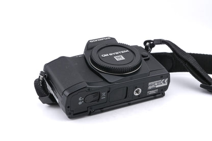 Olympus OM-D E-M5 + FL-LM2 Flash