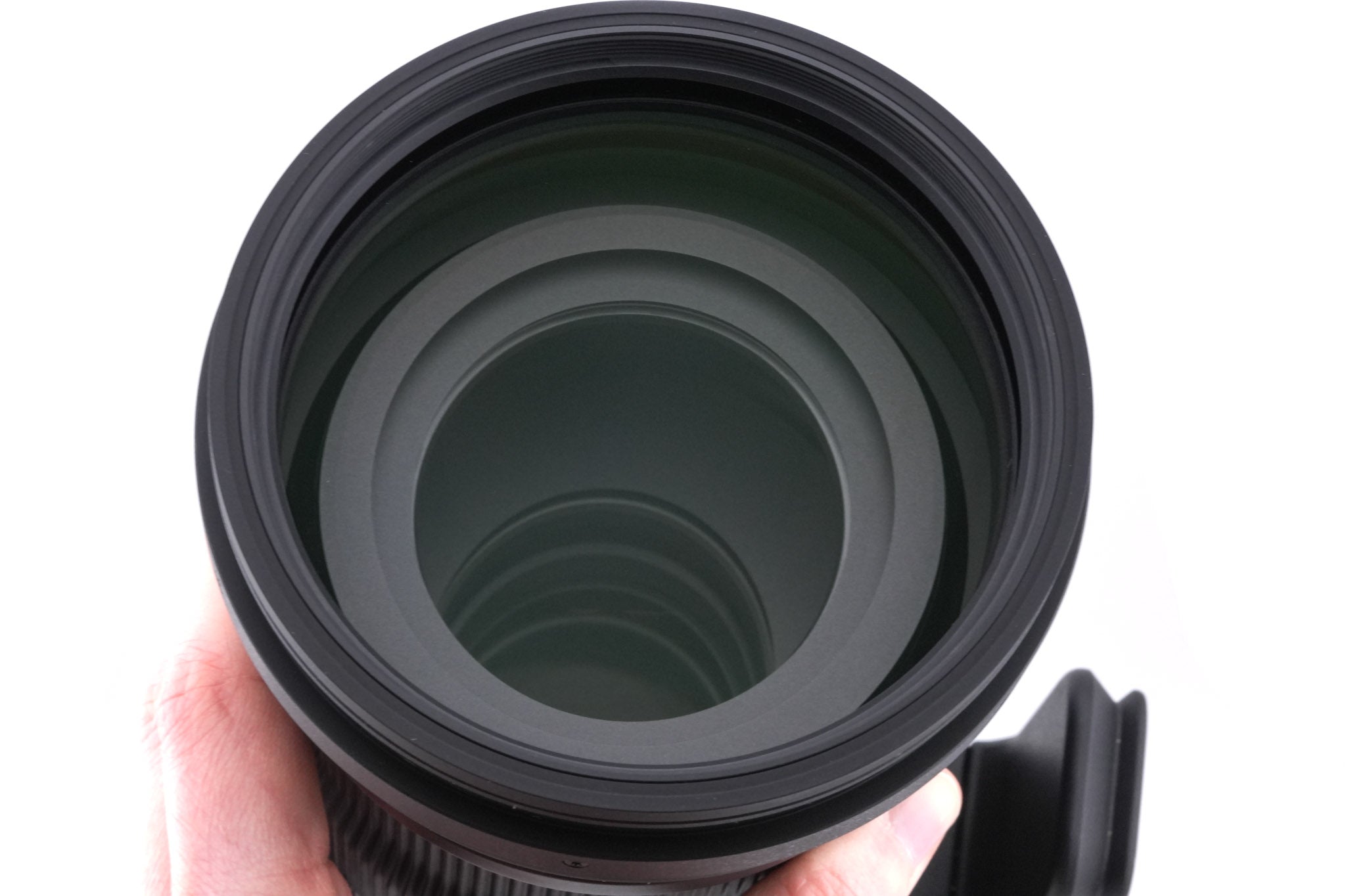 Sigma 150-600mm f5-6.3 DG DN OS Sports (021)