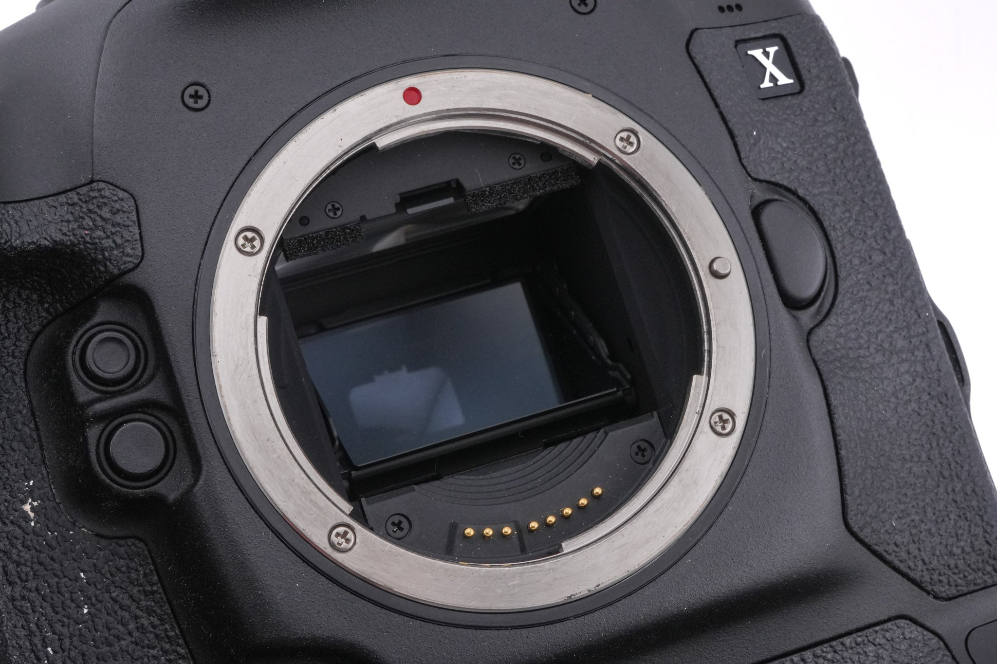 Canon EOS 1DX