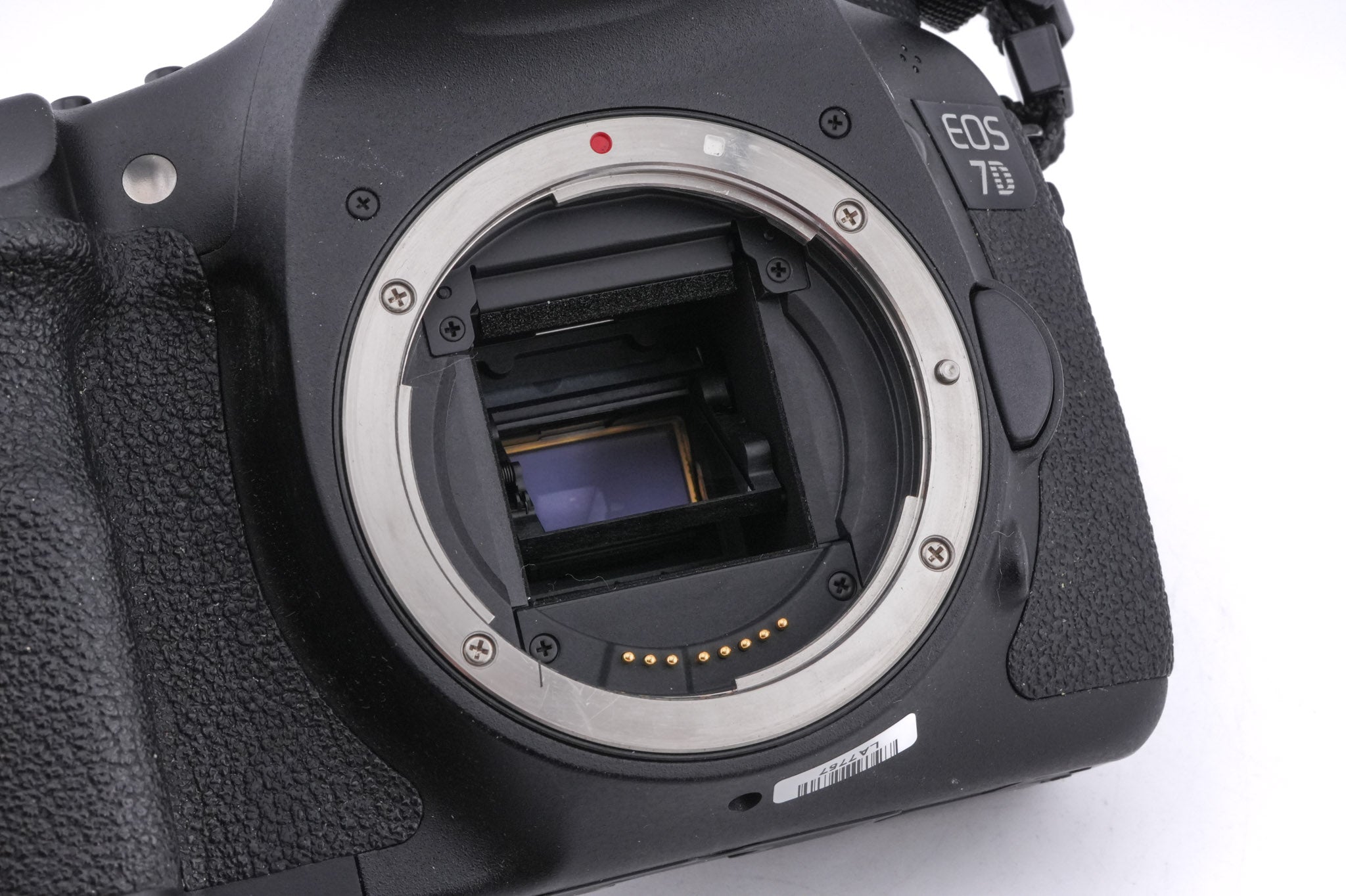 Canon EOS 7D
