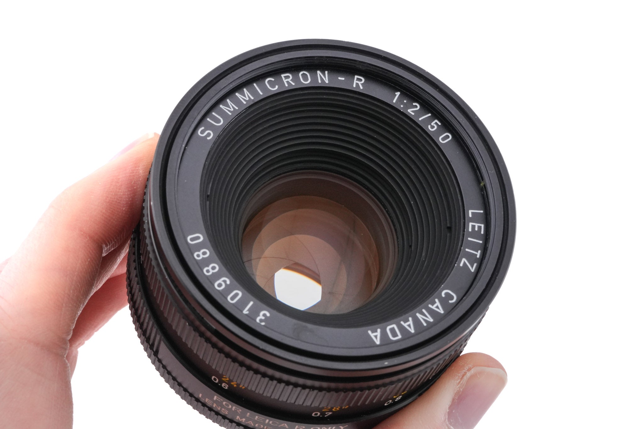 Leica 50mm f2 Summicron-R (Type II) (3rd Cam) (11216)