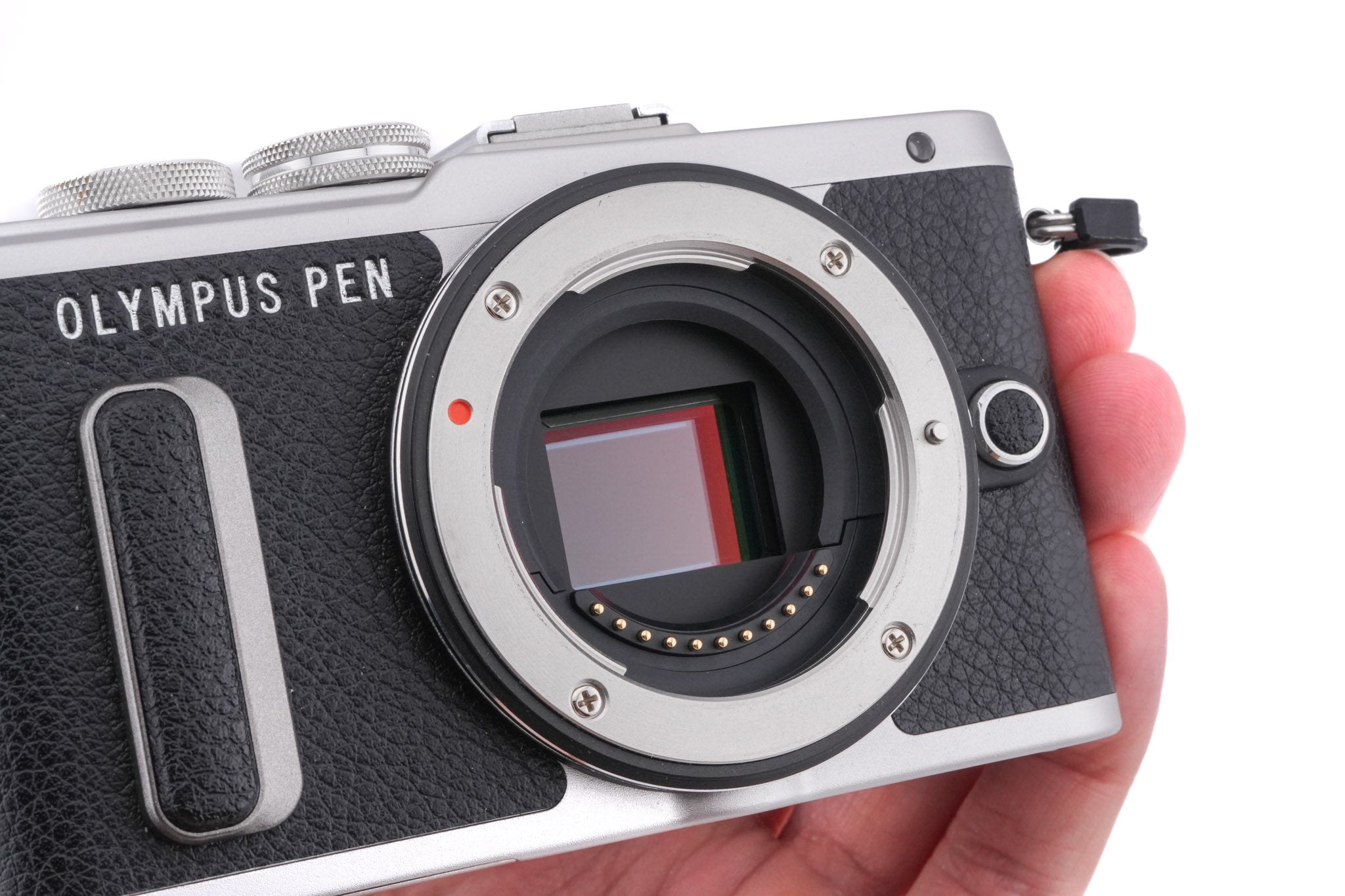 Olympus PEN E-PL8 + FL-LM1 Flash
