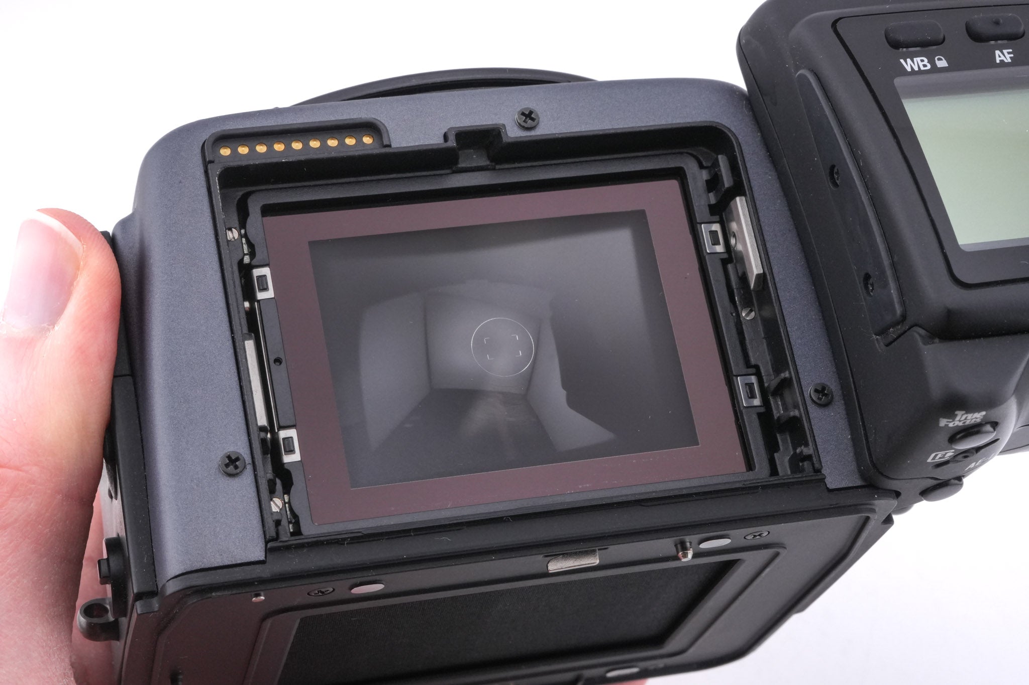Hasselblad H6D-50c