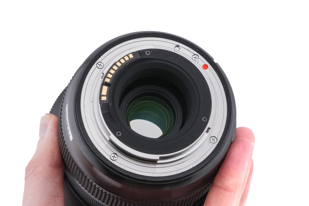 Sigma 12-24mm f4 DG HSM Art (016)