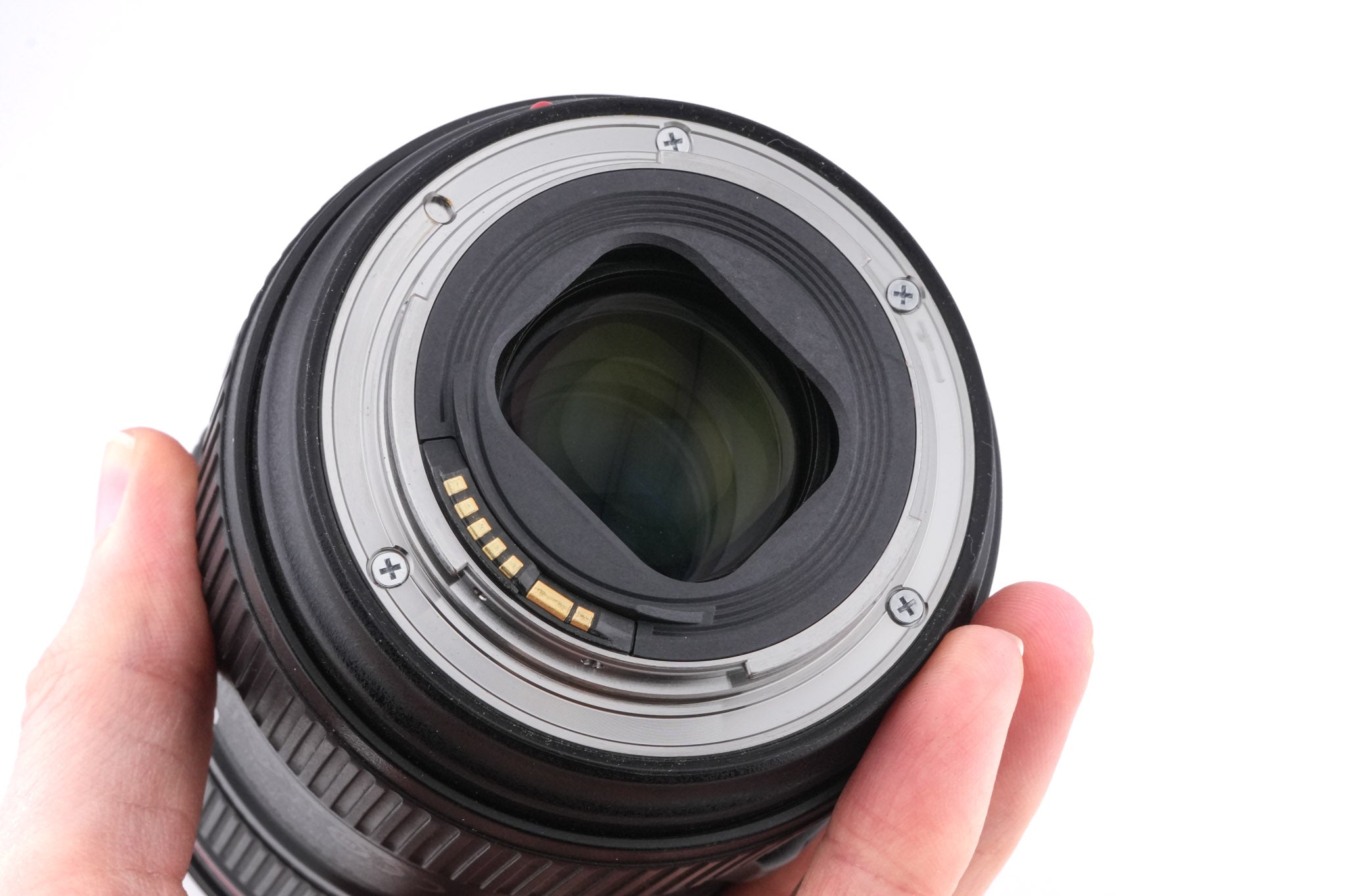 Canon 24-105mm f4 L IS II USM