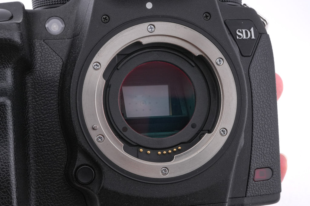 Sigma SD1 Merrill
