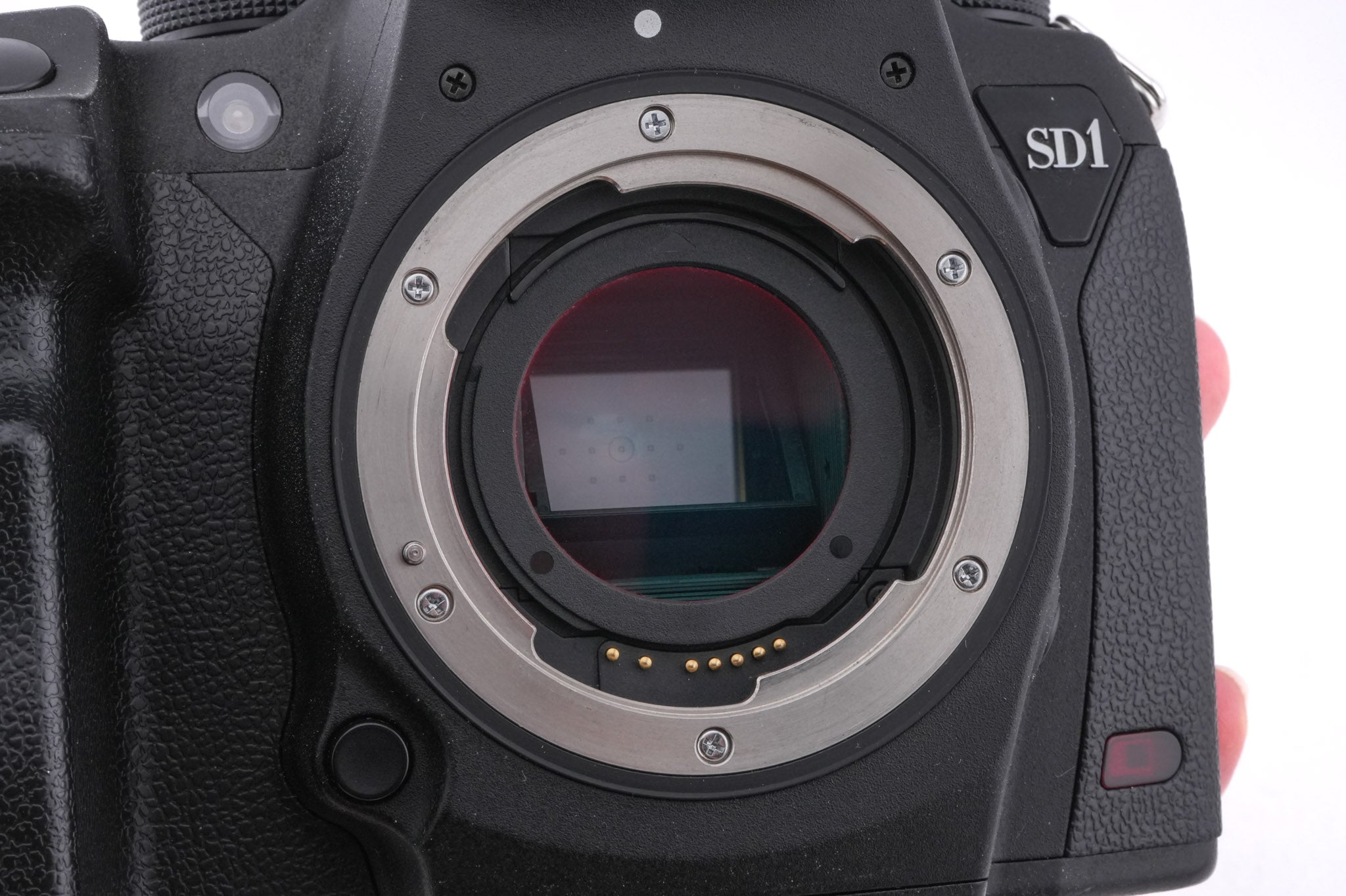 Sigma SD1 Merrill