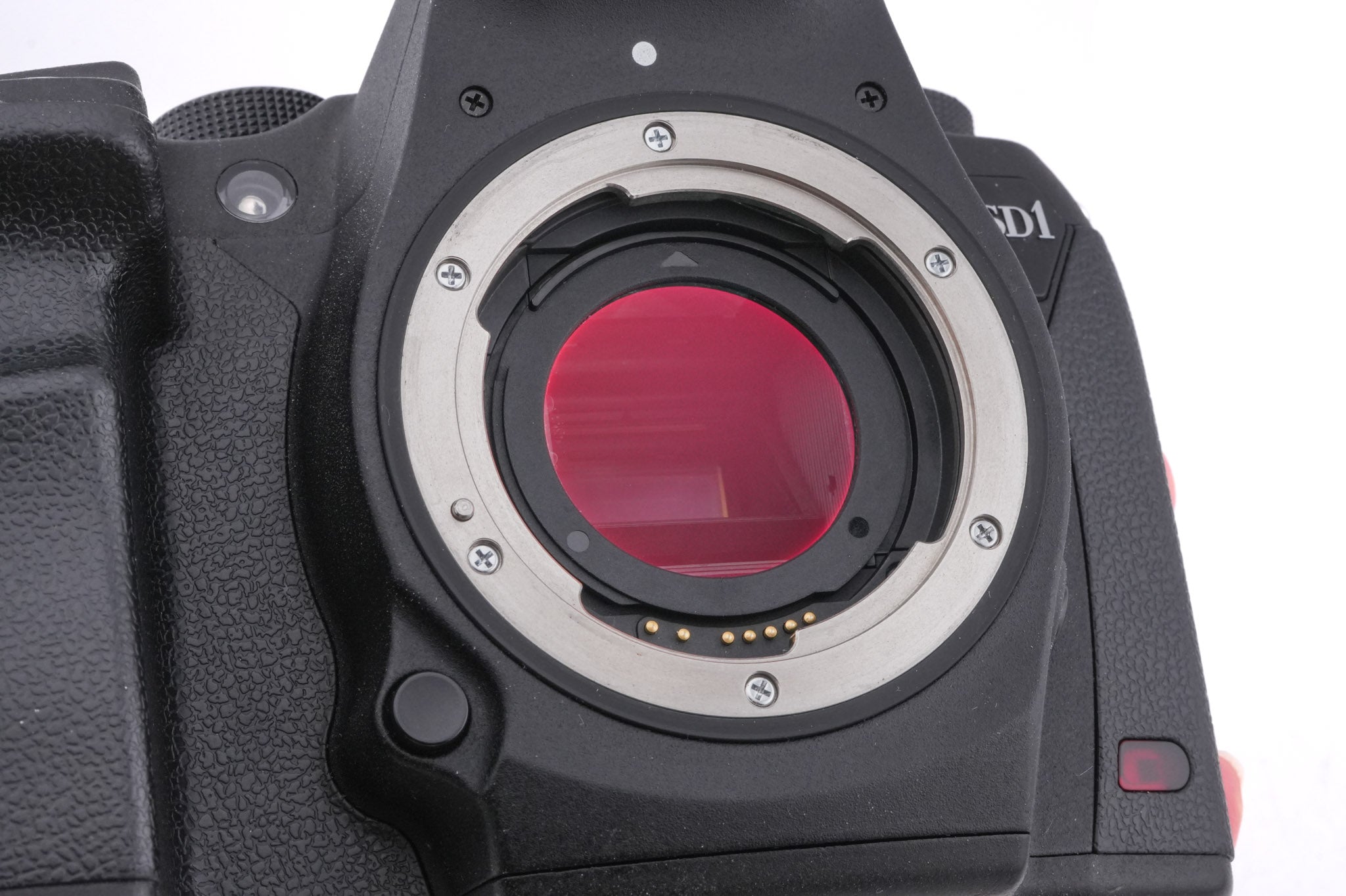 Sigma SD1 Merrill