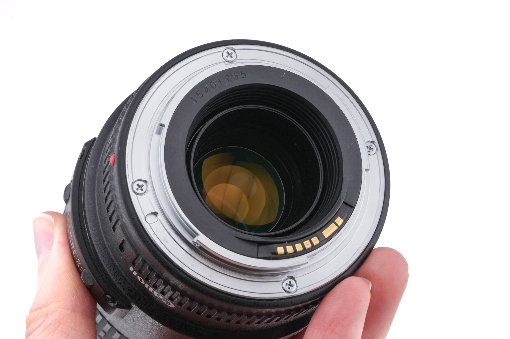 Canon 100mm f2.8 Macro USM