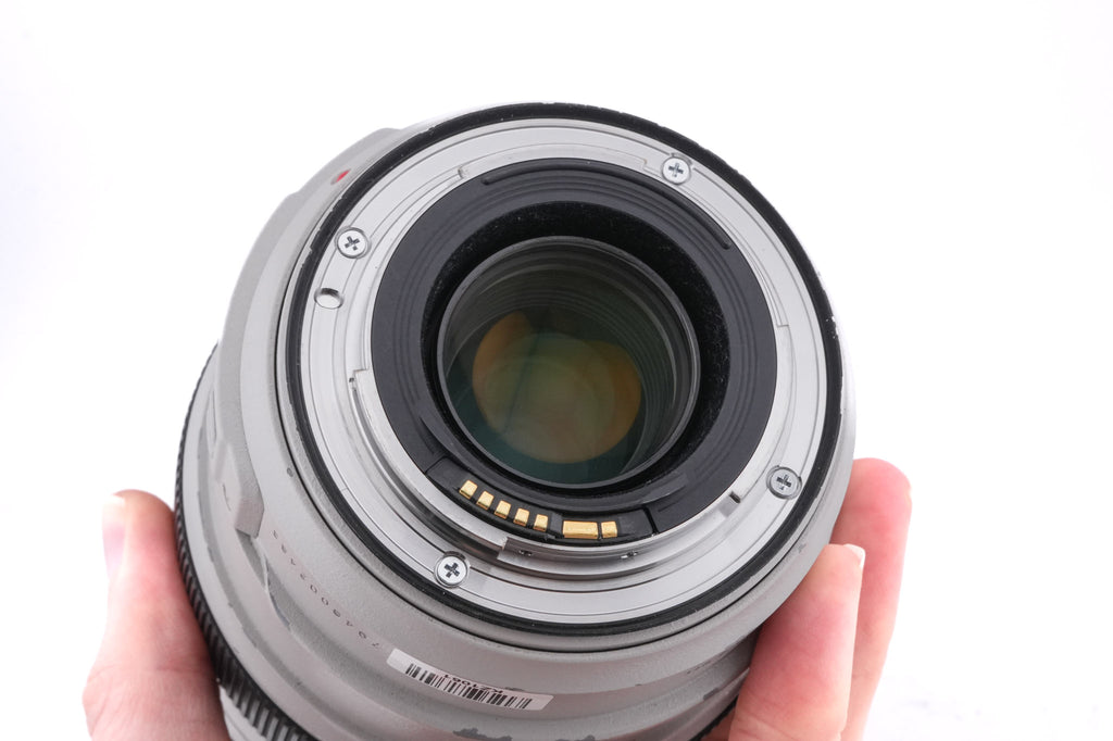 Canon 70-300mm f4-5.6 L IS USM