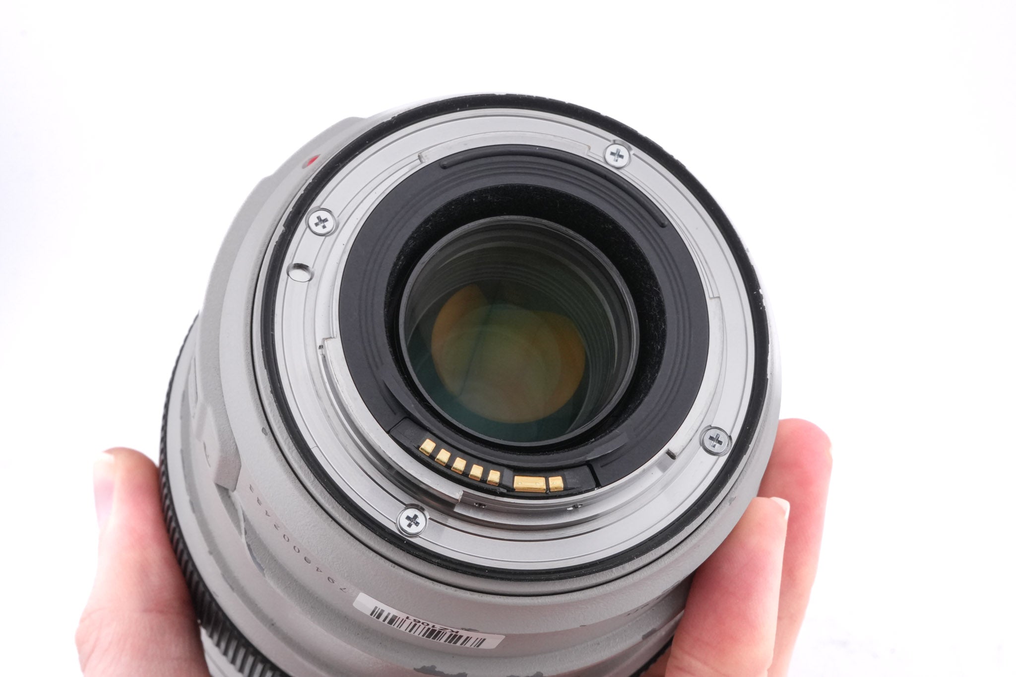 Canon 70-300mm f4-5.6 L IS USM