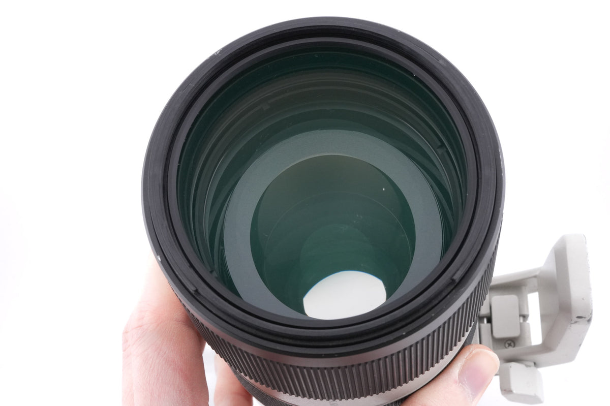 Sony 70-200mm f2.8 GM OSS FE (SEL70200GM)