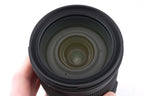 Sigma 24-105mm f4 DG OS HSM Art (013)