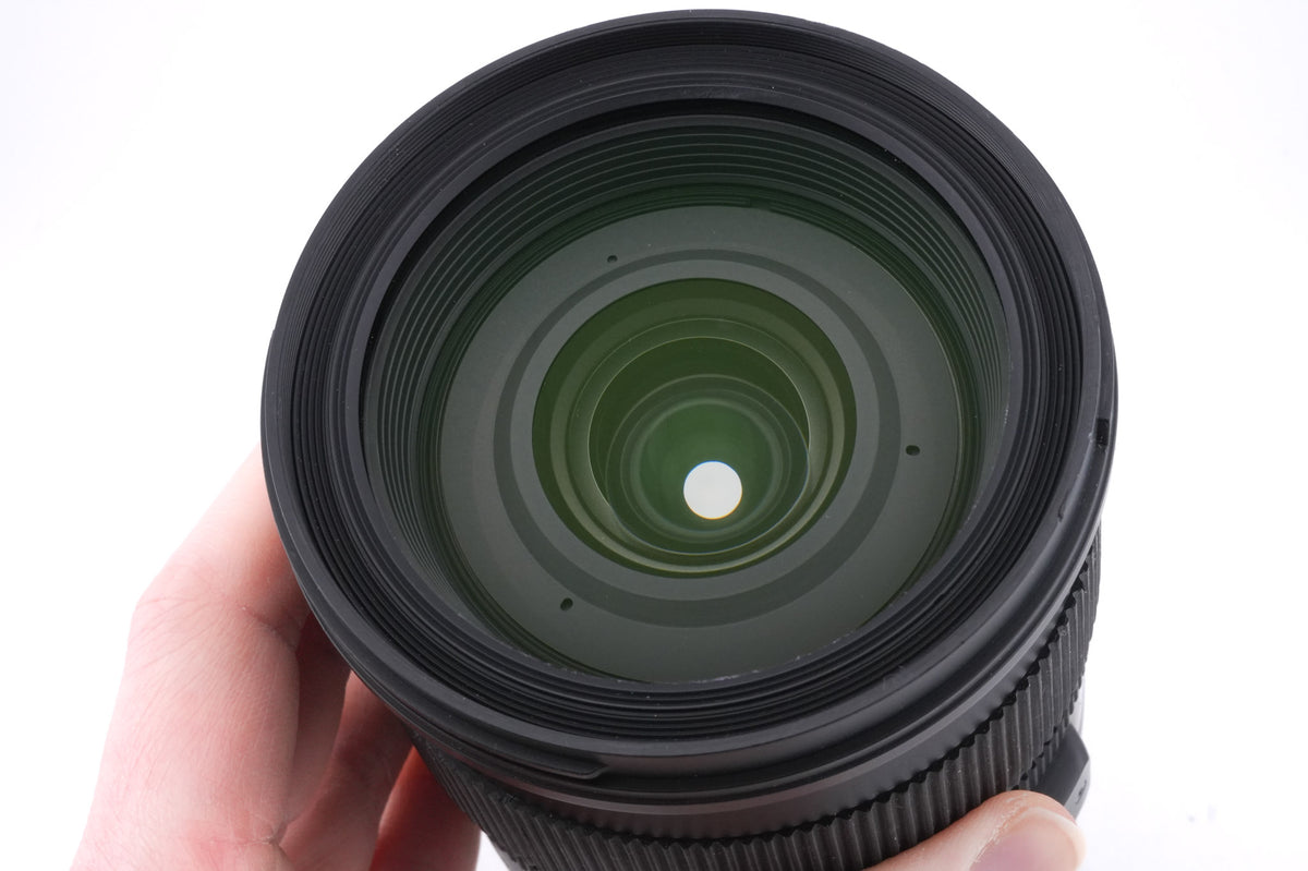 Sigma 24-105mm f4 DG OS HSM Art (013)