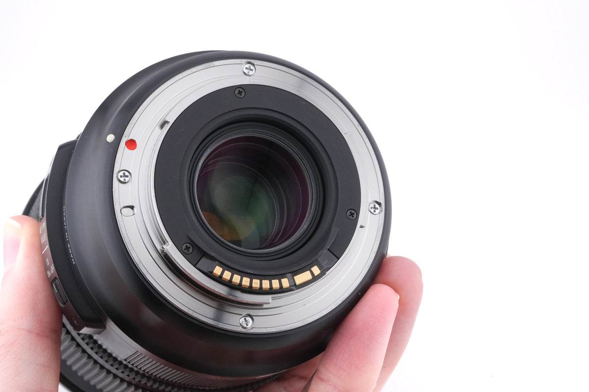 Sigma 24-105mm f4 DG OS HSM Art (013)