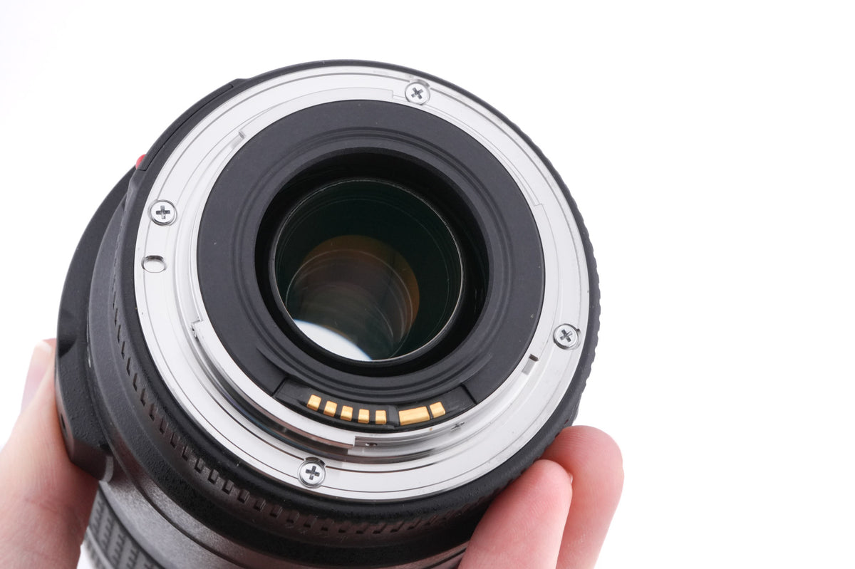 Canon 70-300mm f4-5.6 IS USM