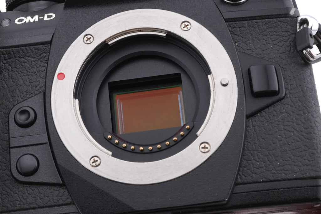 Olympus OM-D E-M1 Mark II