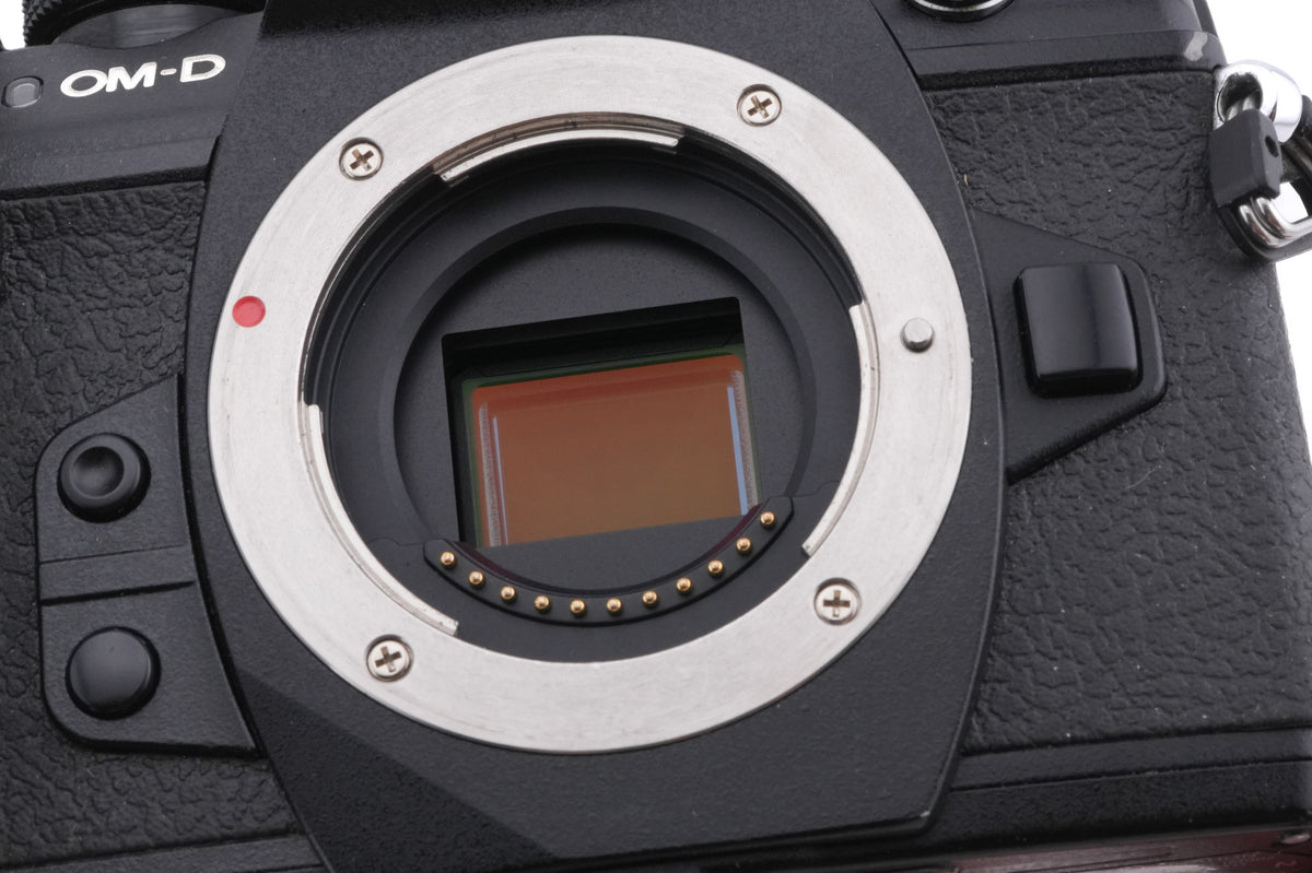 Olympus OM-D E-M1 Mark II