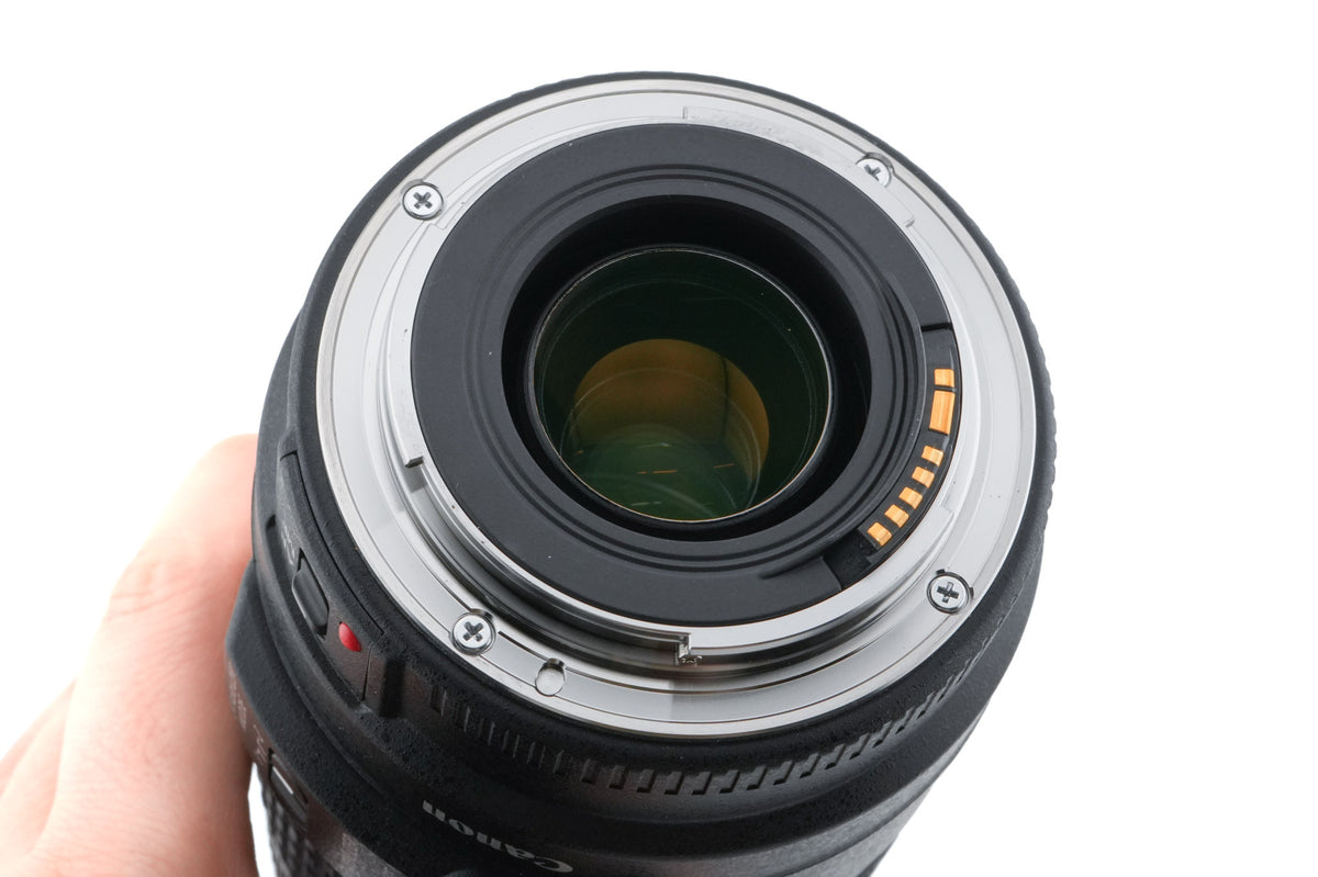 Canon 70-300mm f4-5.6 IS USM