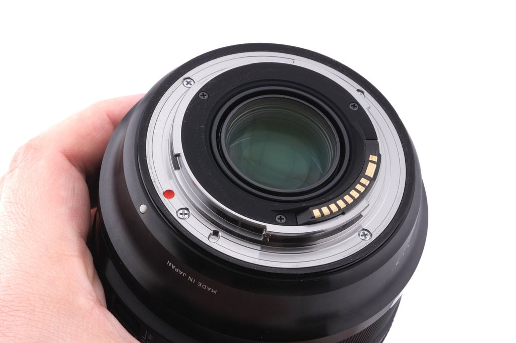 Sigma 24-70mm f2.8 DG OS HSM Art (017)