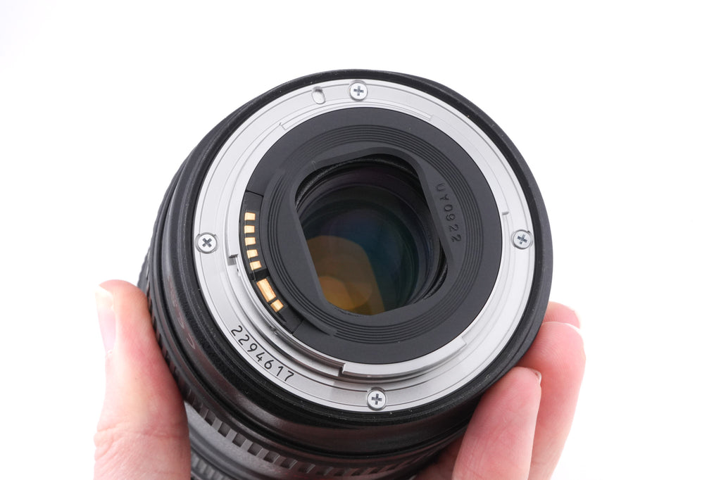 Canon 24-105mm f4 L IS USM