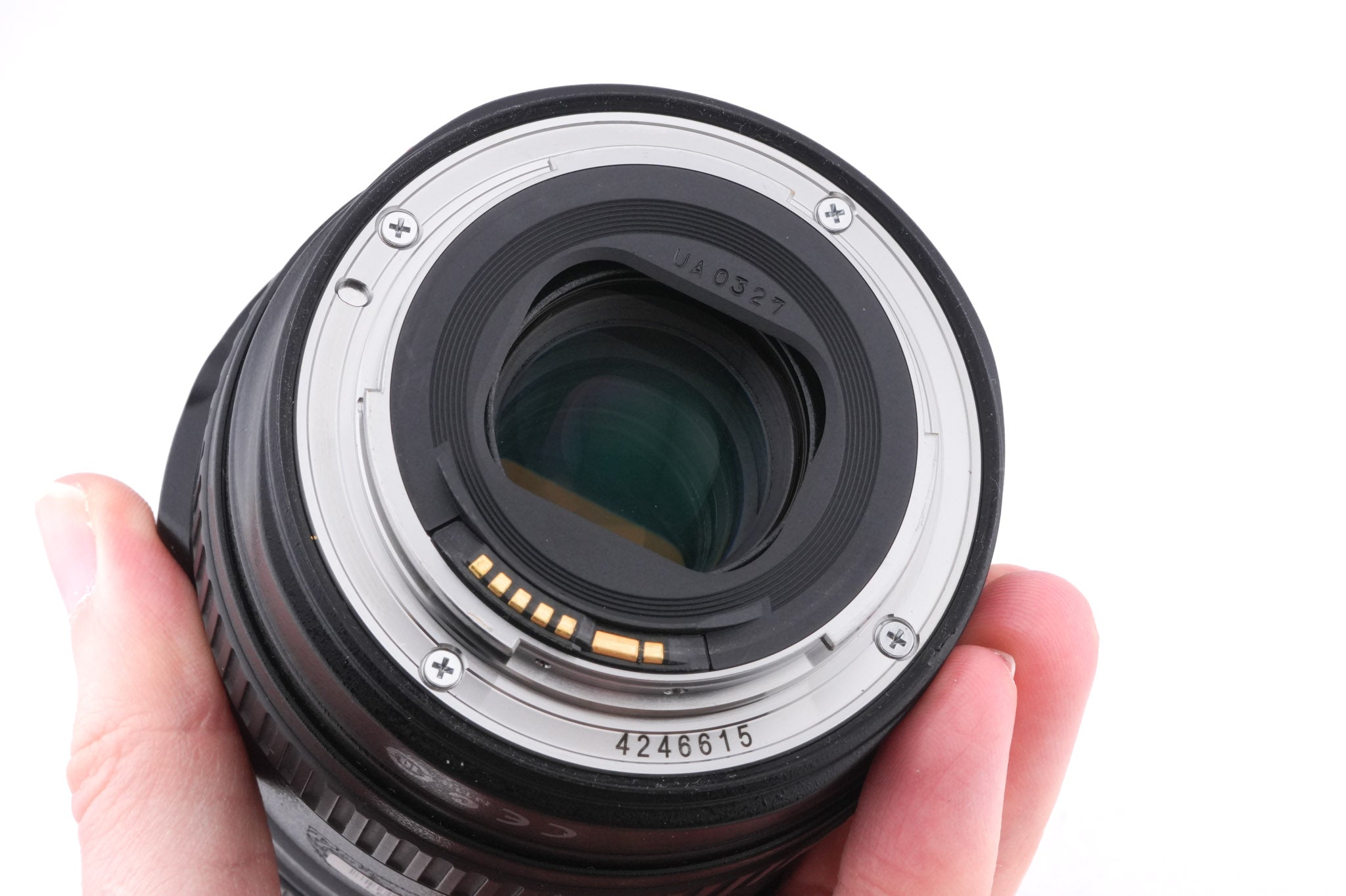 Canon 24-105mm f4 L IS USM