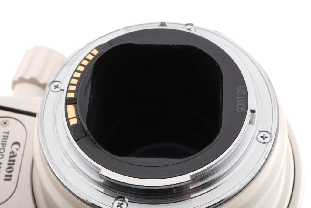 Canon 300mm f4 L IS USM