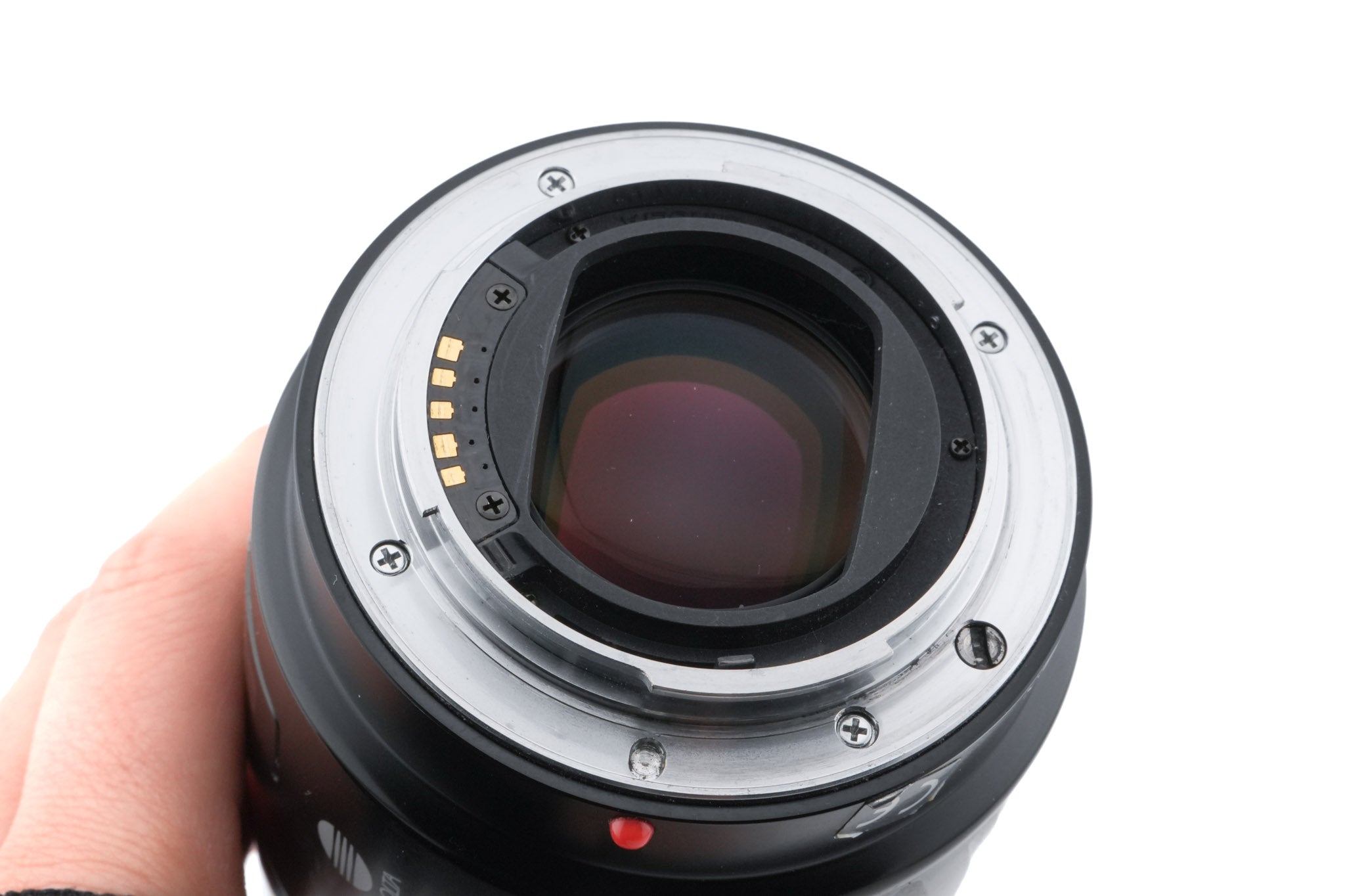 Minolta 100mm f2.8 AF Macro