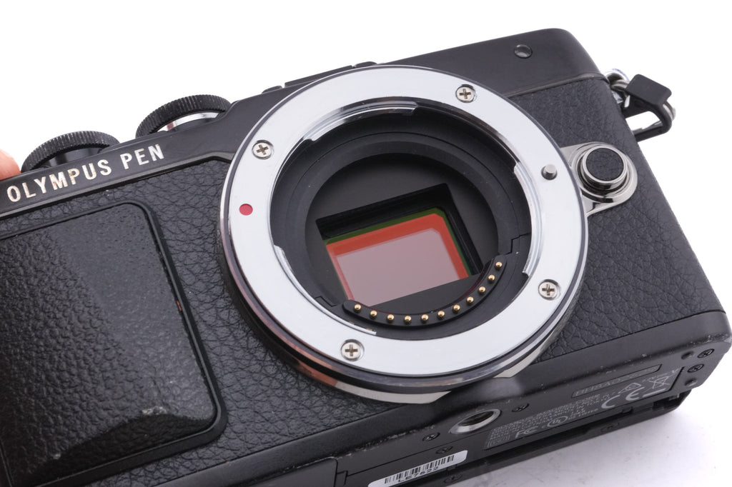 Olympus PEN E-PL7 + FL-LM2 Flash