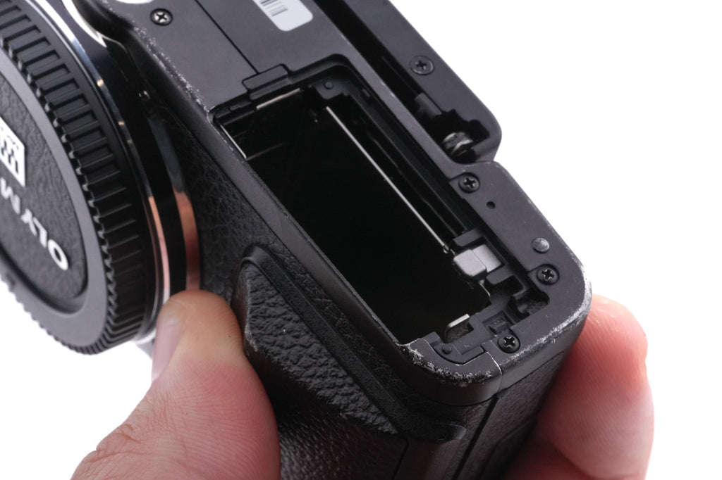Olympus PEN E-PL7 + FL-LM2 Flash