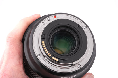 Sigma 24-105mm f4 DG OS HSM Art (013)