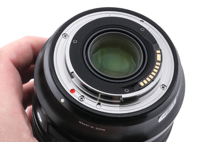 Sigma 24-70mm f2.8 DG OS HSM Art (017)