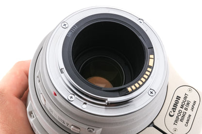 Canon 100-400mm f4.5-5.6 L IS USM