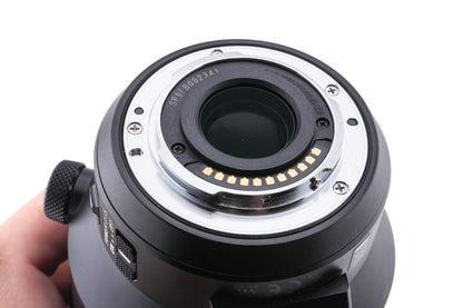 Panasonic 100-400mm F4-6.3 DG Vario-Elmar ASPH.