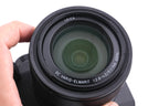 Panasonic Lumix DC-FZ1000 II
