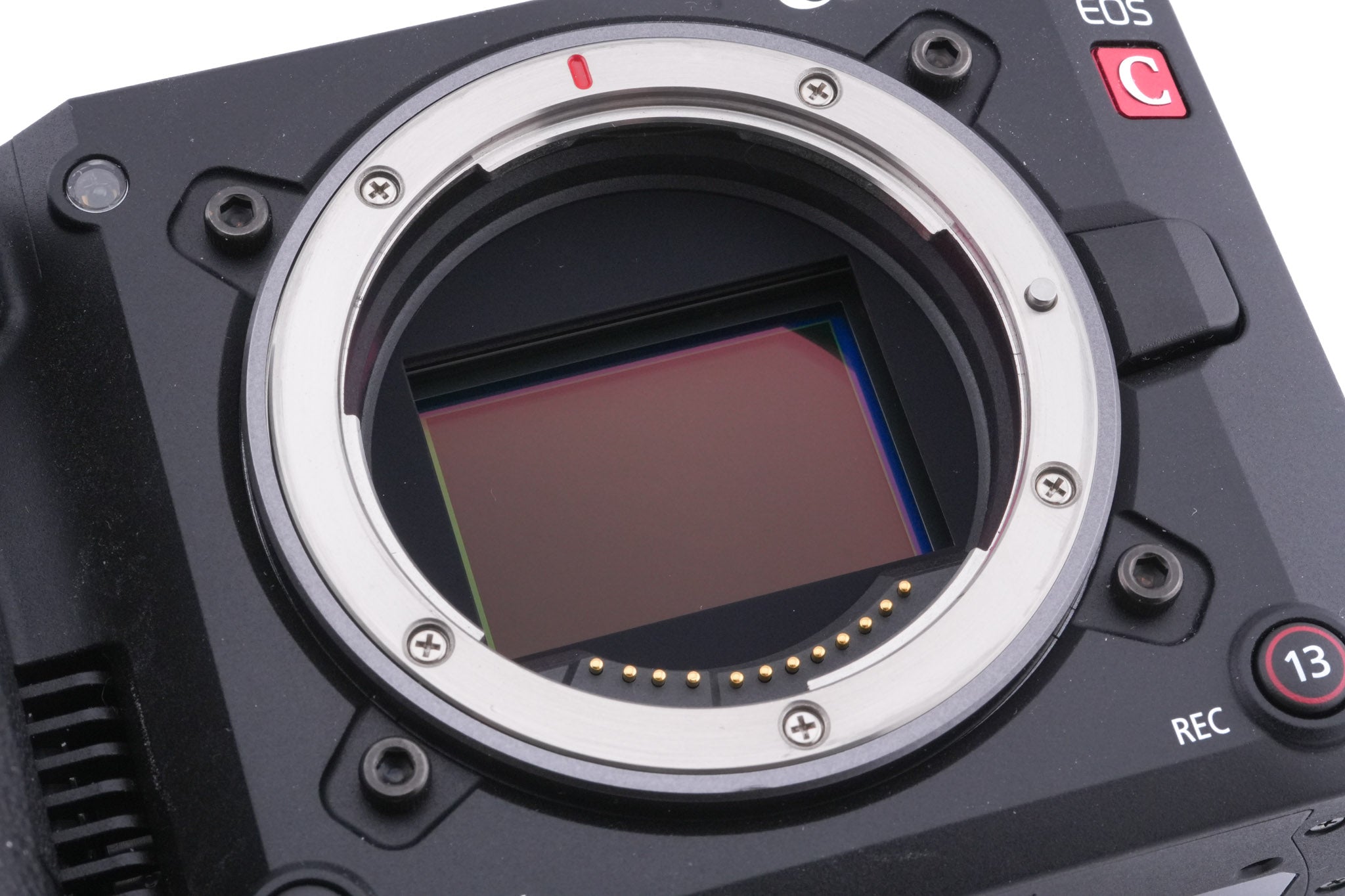 Canon EOS C50