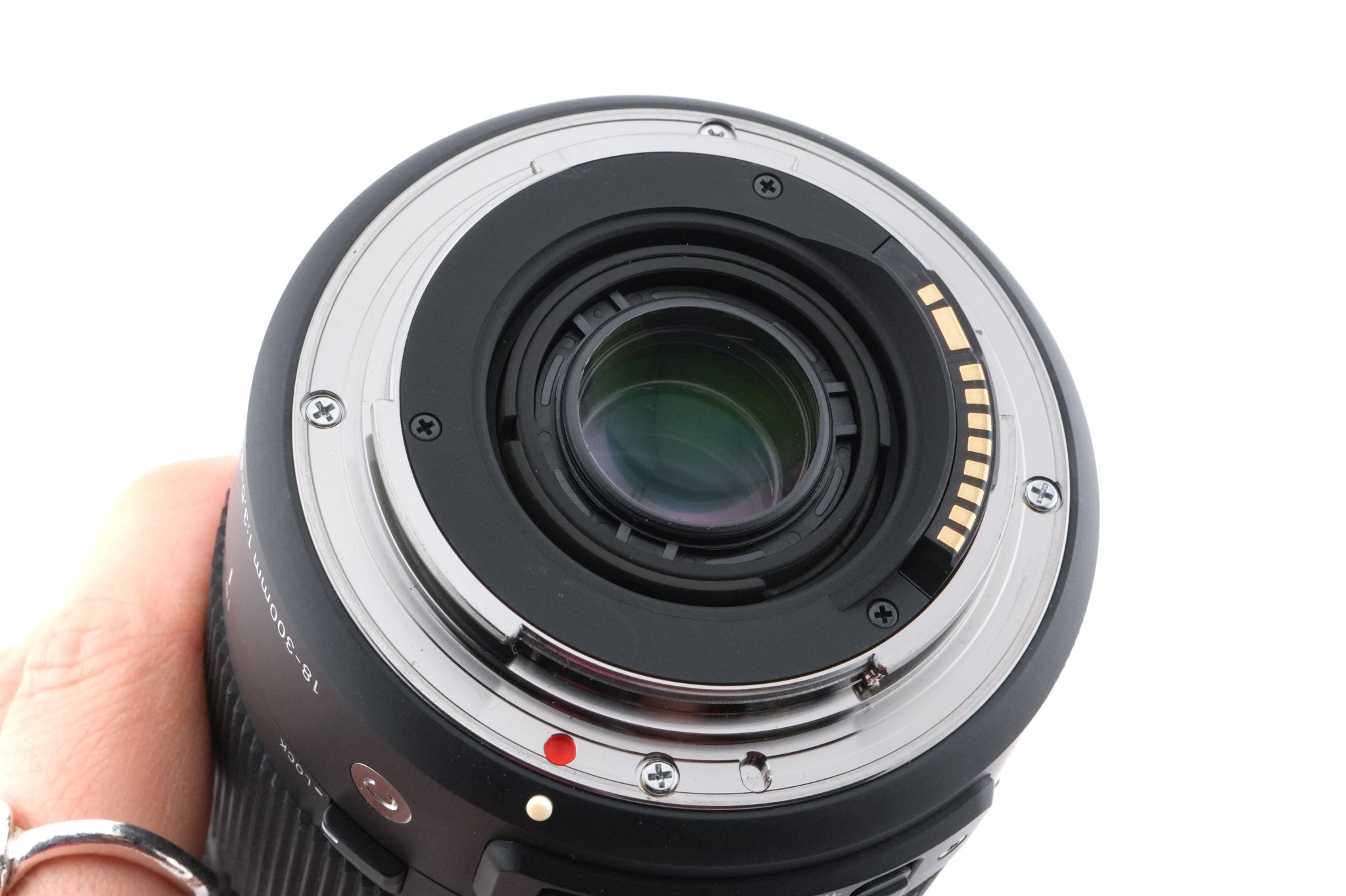 Sigma 18-300mm f3.5-6.3 DC OS HSM Contemporary (014)